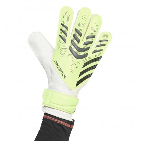adidas Torwarthandschuhe Predator GL Training 
