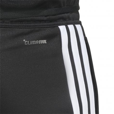 adidas Herren Trainingshose Tiro 26 League TR Pants Slim 
