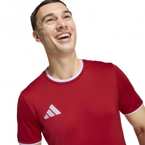 adidas Herren Trikot Entrada 26 Jersey 