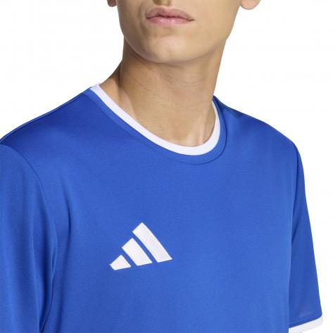 adidas Herren Trikot Entrada 26 Jersey 