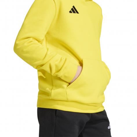 adidas Kinder Kapuzenpullover Entrada 26 Hoody Y 