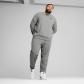 Puma Herren Pullover ESS Small No. 1 Logo Crew TR 682564 
