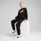Puma Kinder Trainingsanzug ESS No.1 Logo Cr Swt Suit TR B 686296 