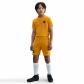 Nike Kinder Trikot Erling Haaland Dri-Fit Academy25 TOP SS  HV0229 