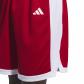 adidas Herren Short Pulse Speed Bball Shorts 