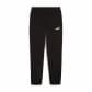 Puma Herren Jogginghose ESS No.1 Logo Sweatpants TR OP 682612 