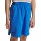 Under Armour Jungen Short Vanish Shorts 1389171 