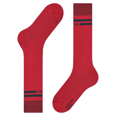 Falke Herren Skisocken SK7 Race Men 16101 