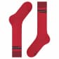 Falke Herren Skisocken SK7 Race Men 16101 