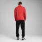 Puma Herren Trainingsanzug Poly Piping Suit 684852 