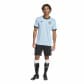 adidas Herren Trikot DFB 125 JSY JY1315 L Clear Blue/Black | L