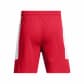 Under Armour Herren Short UA Baseline Shorts 1383389 