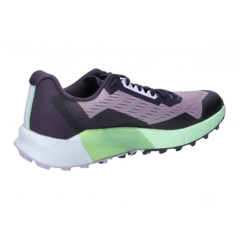 adidas TERREX Damen Trailrunning Schuhe Agravic Flow 2 W ID2504 40 2/3 Prlofi/Sildaw/Segrsp | 40 2/3