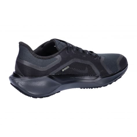 Nike Herren Laufschuhe Pegasus 41 GORE-TEX FQ1356-003 
