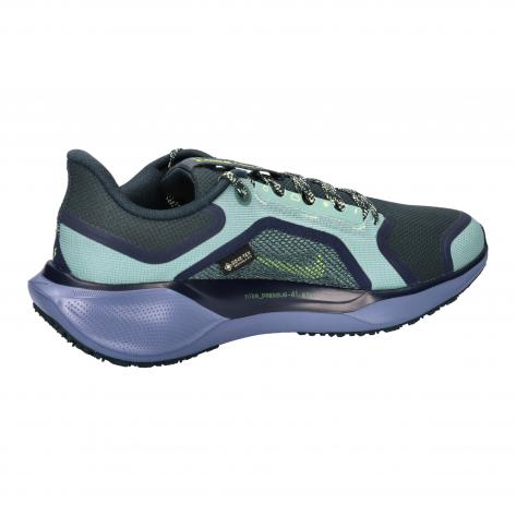 Nike Herren Laufschuhe Pegasus 41 GORE-TEX FQ1356-003 