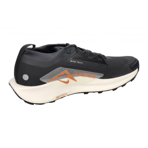 Nike Herren Trail Running Schuhe Pegasus Trail 5 Gore-Tex FQ0908 