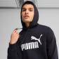 Puma Herren Kapuzenpullover ESS No. 1 Logo Hoodie FL 682570 