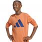 adidas Kinder Trainingsanzug Essentials 