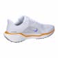 Nike Herren Laufschuhe AIR ZOOM PEGASUS 41 FP HF0013 