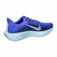 Nike Herren Laufschuhe Pegasus Plus PRM Road Run HQ1719 