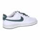Nike Damen Sneaker Court Vision Low Next Nature FV9952 