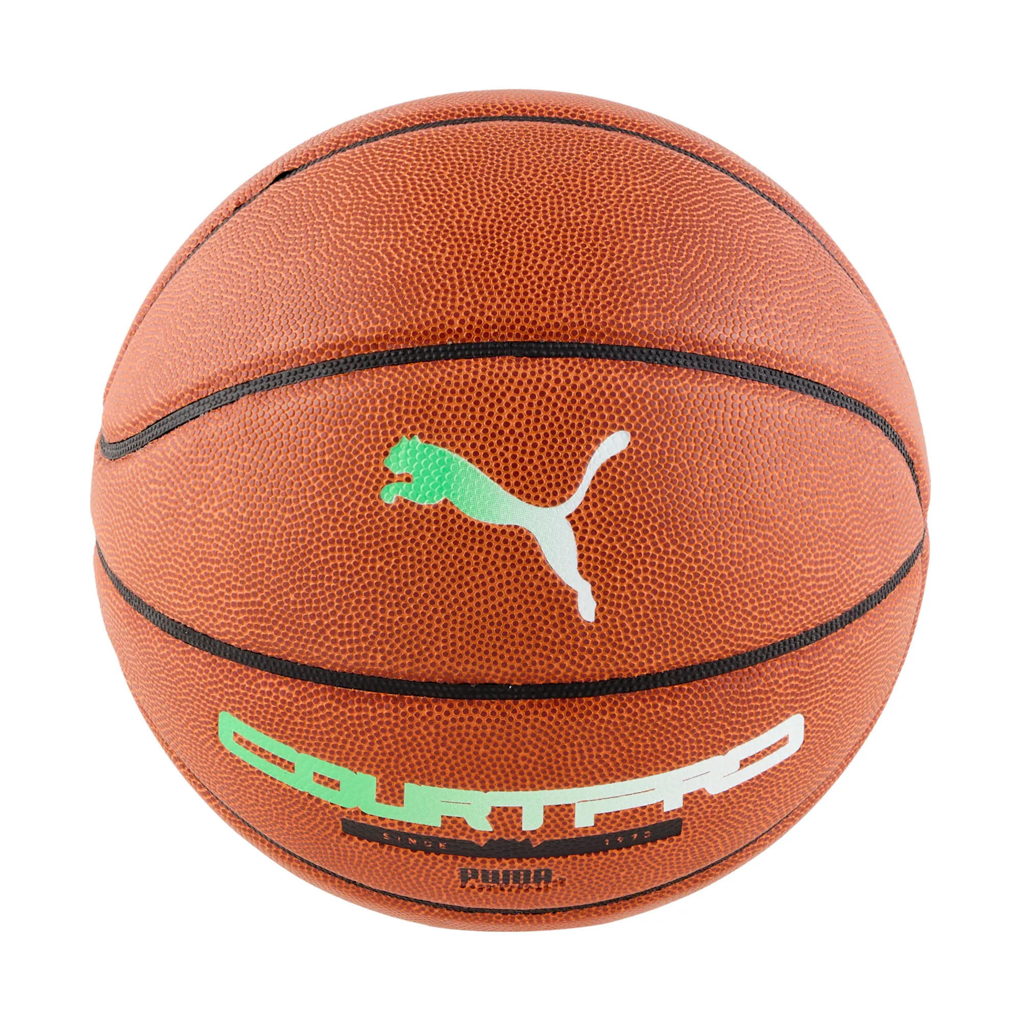 Puma teamJAWS Court Pro Basketball 084685 8590₽