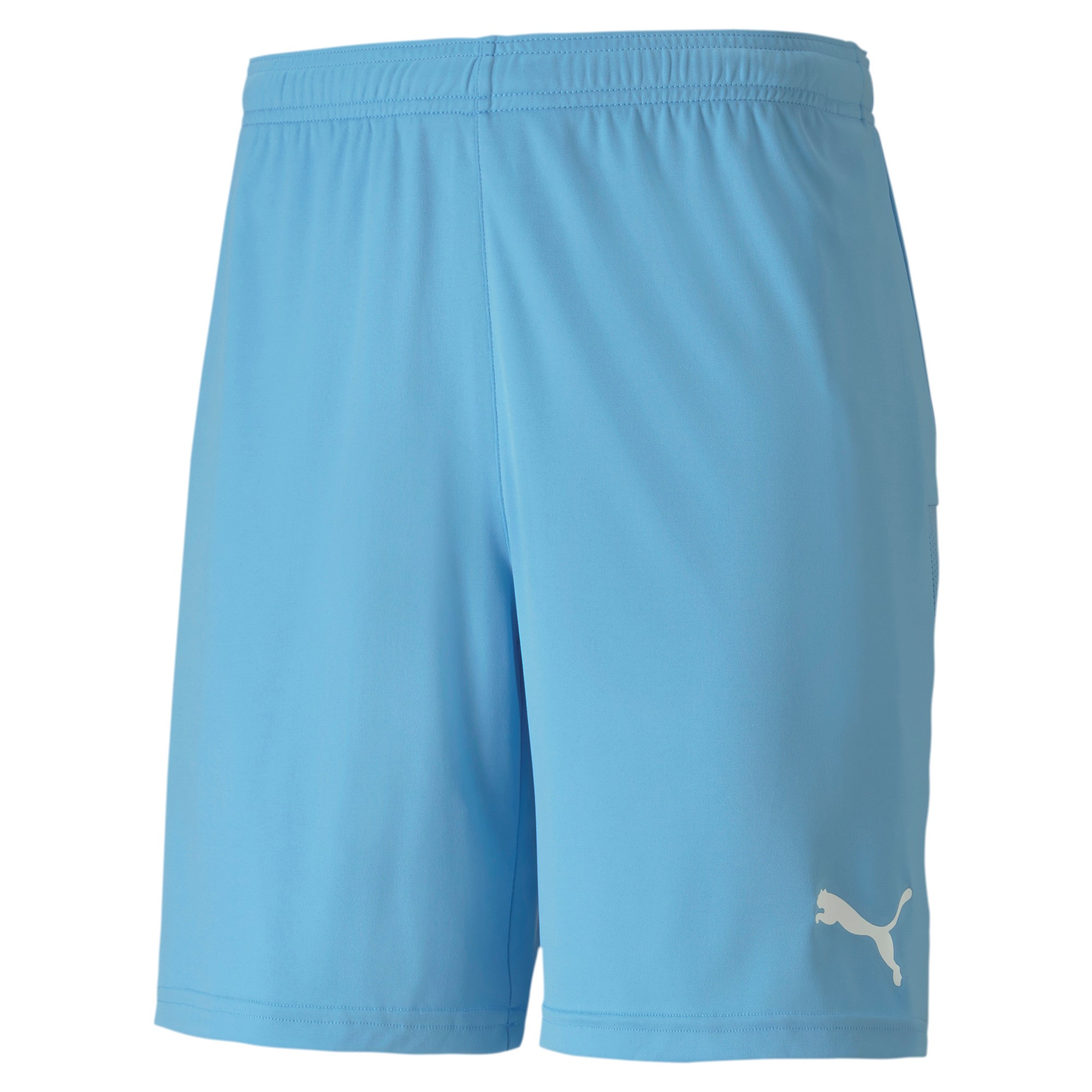 Трикотажные шорты Puma Herren Short teamGOAL 23 704262 2590₽