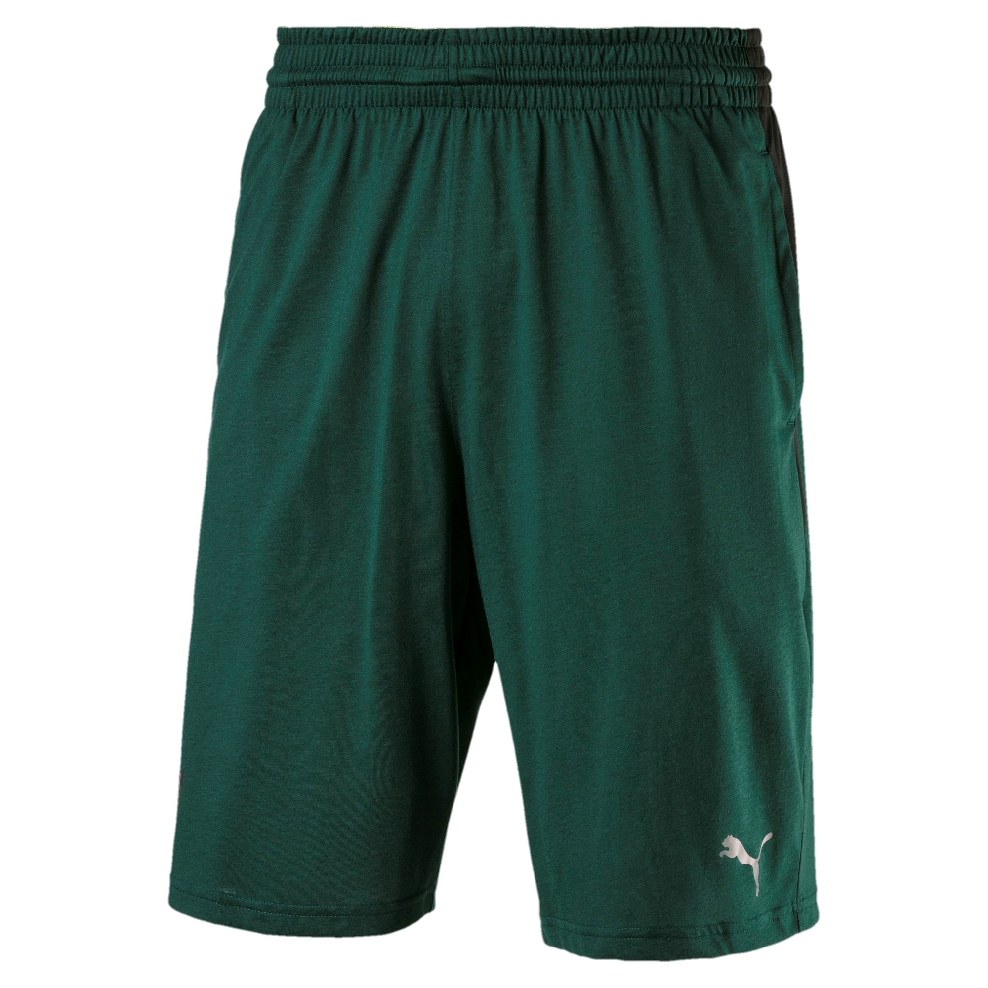Puma Herren Short ACE Drirelease 10 Short 517352 3490₽
