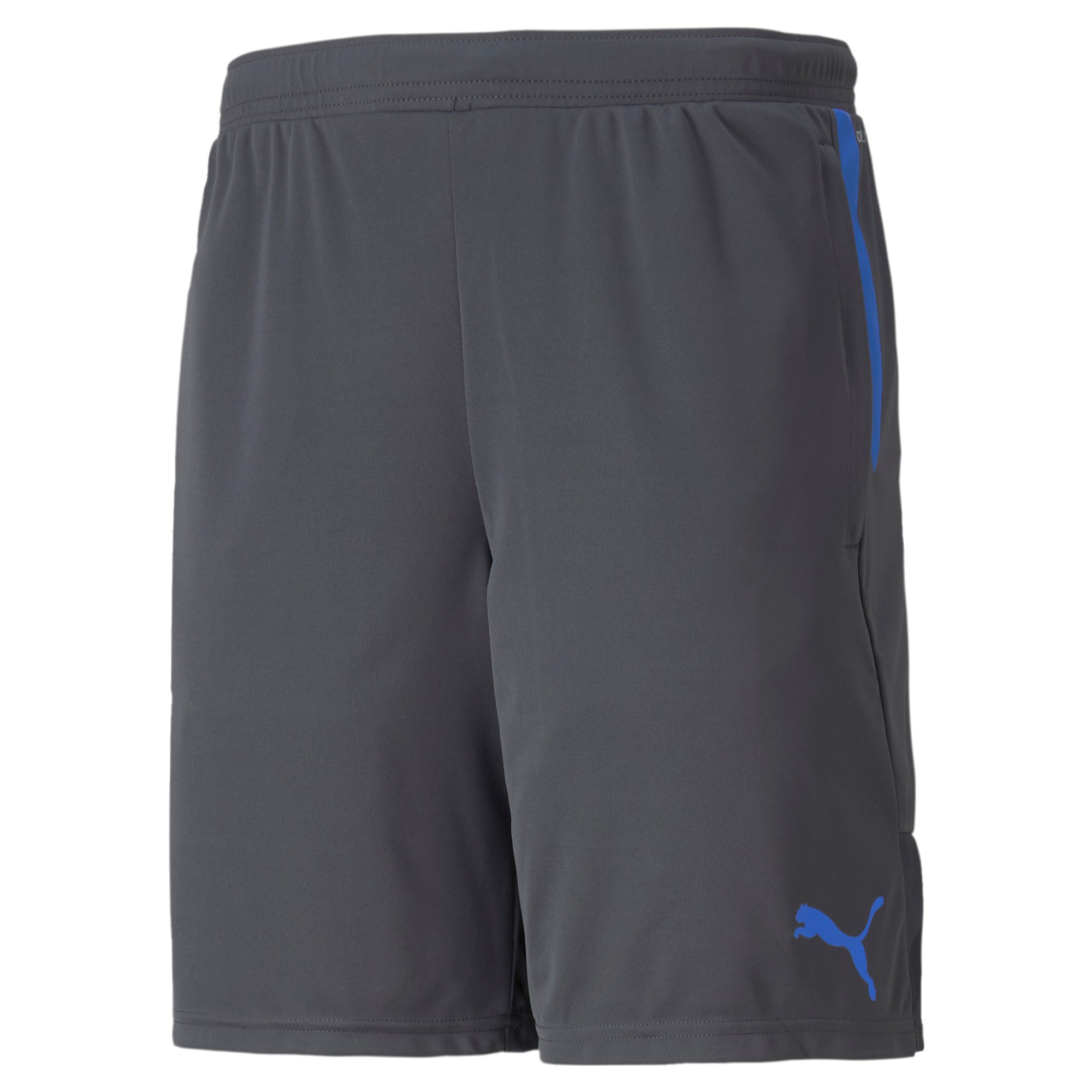 Шорты Puma Herren Shorts individualCUP 657546 3190₽