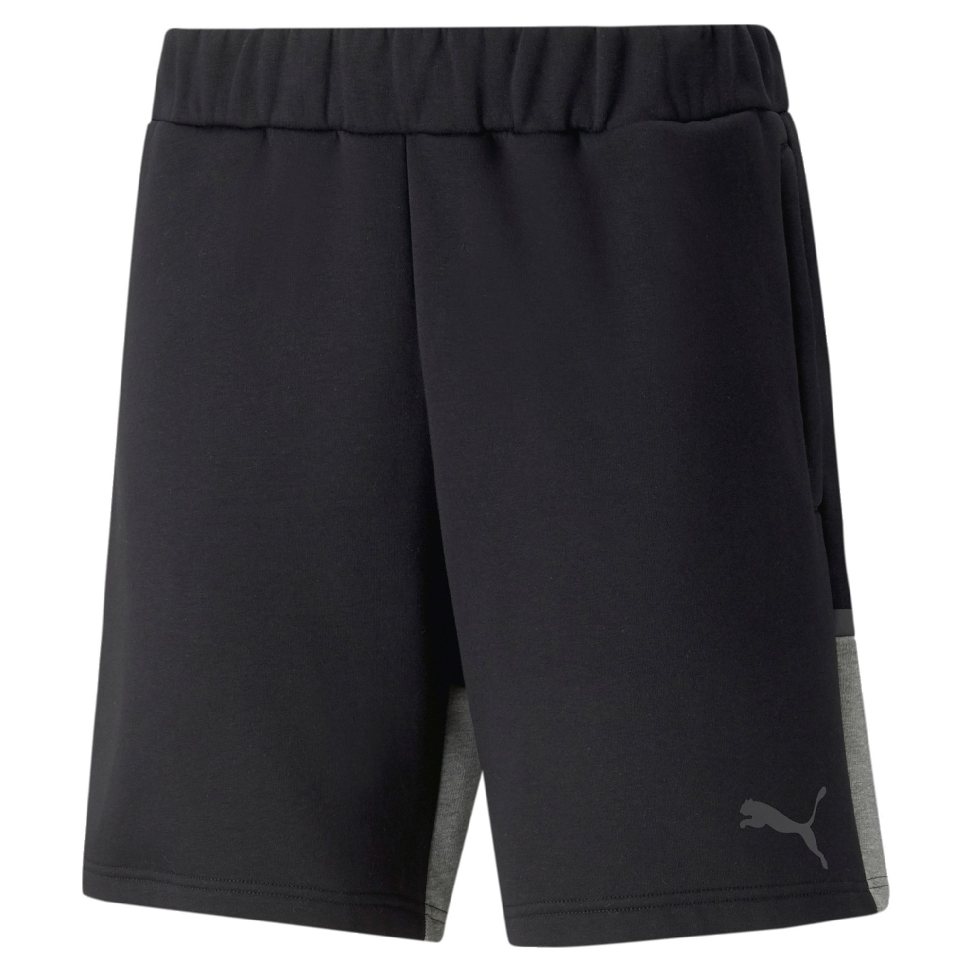 Puma Herren Shorts teamCUP 657989 5990₽