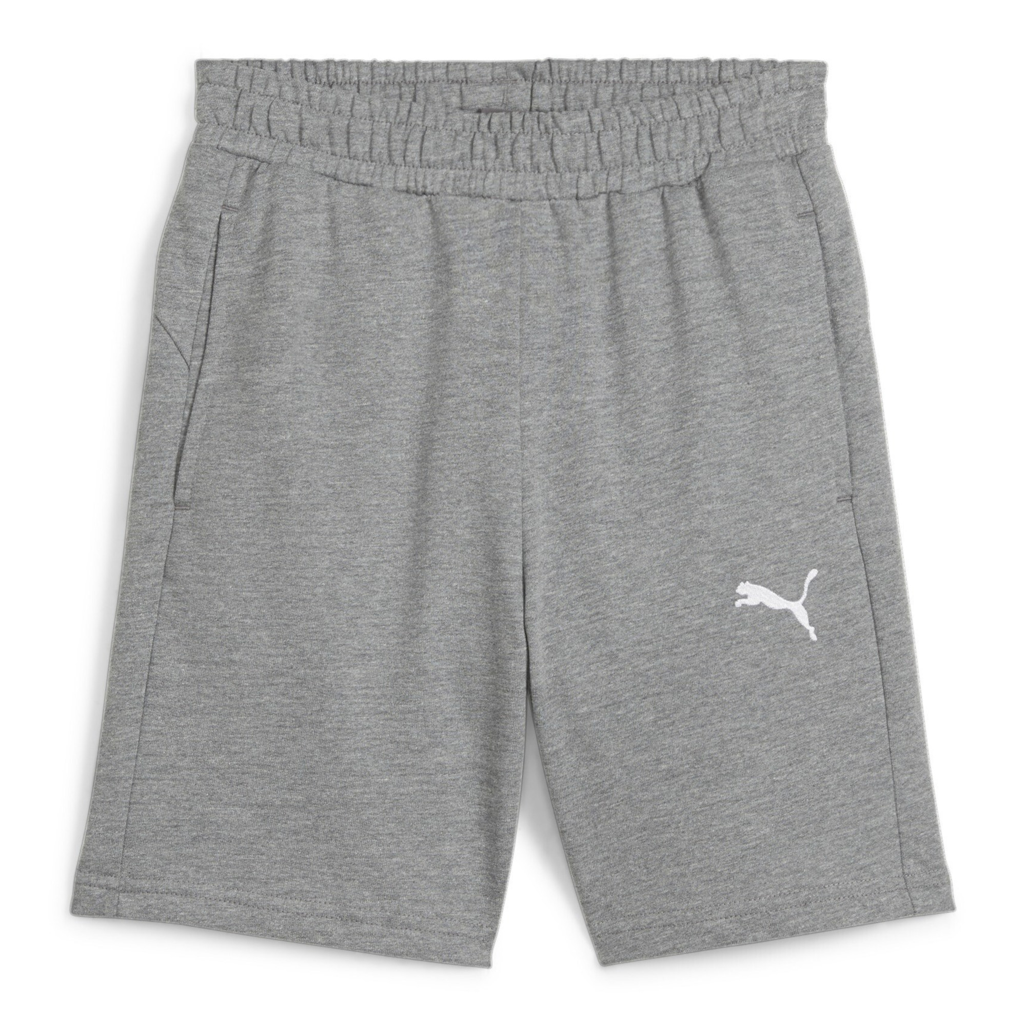 Puma Kinder Short teamGOAL Jr 658609 3890₽