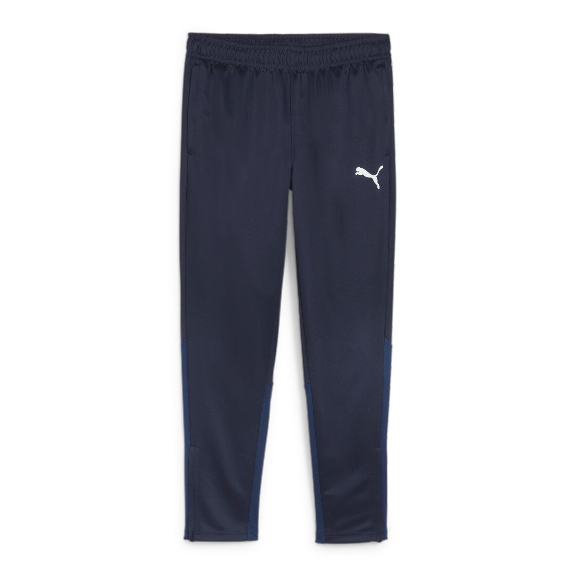 Puma Herren Trainingshose teamGOAL 658639 5990₽