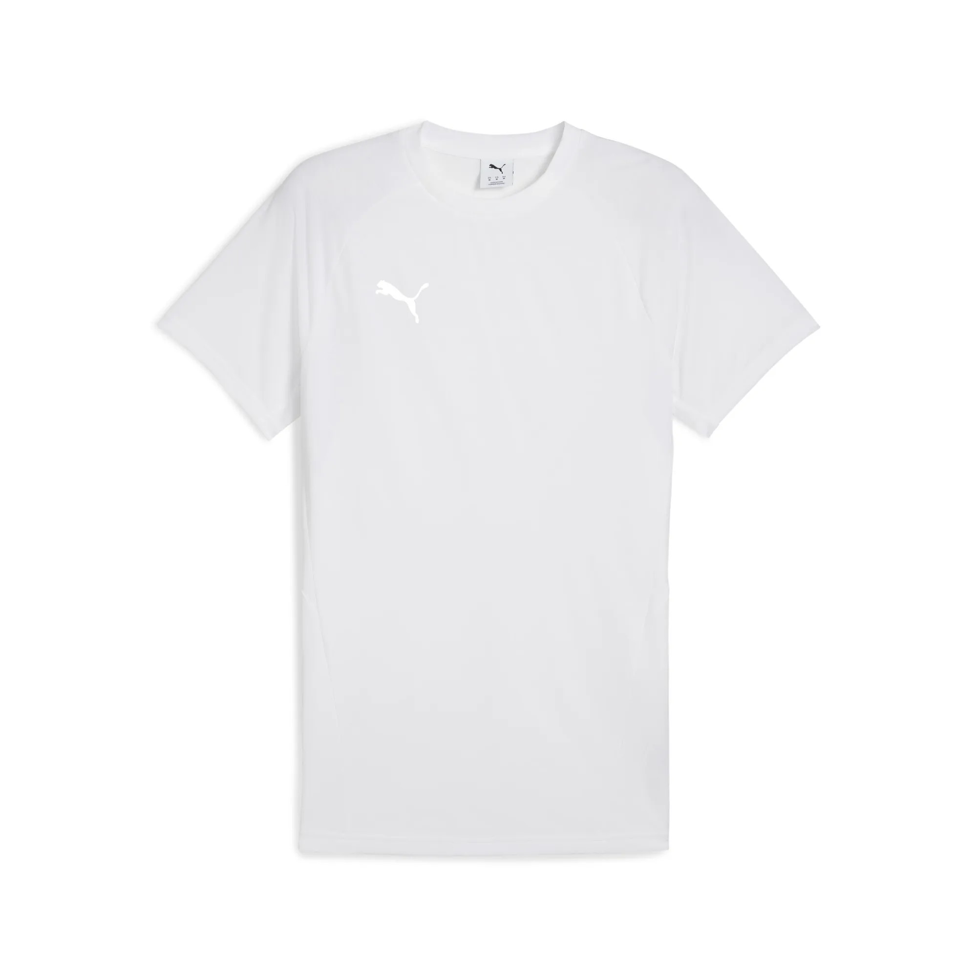 Футболка Puma Herren teamEVOSTRIPE Tee 659953