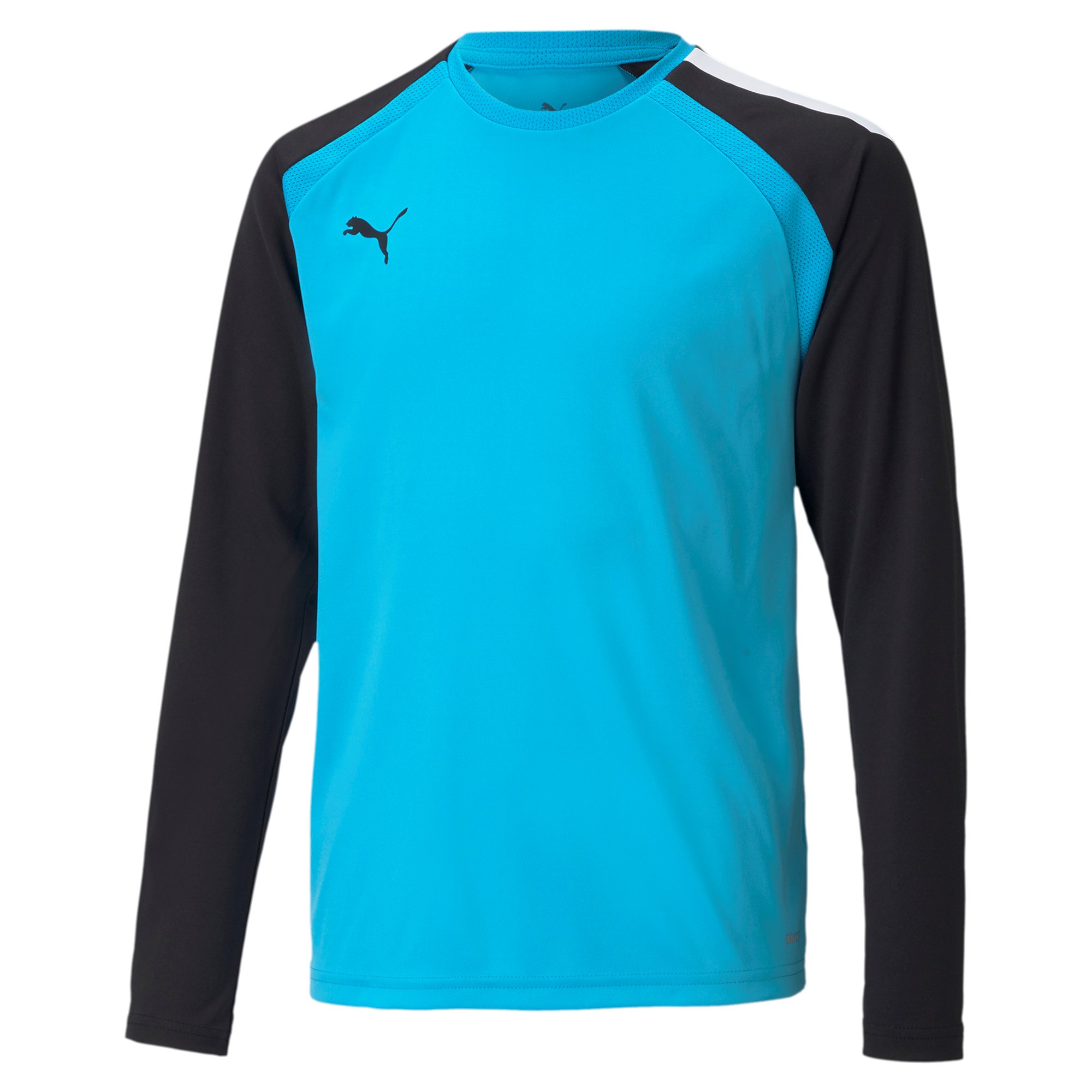 Puma Kinder Torwart Trikot teamPACER GK LS Jersey Jr 704939 - Bild 4 von 5
