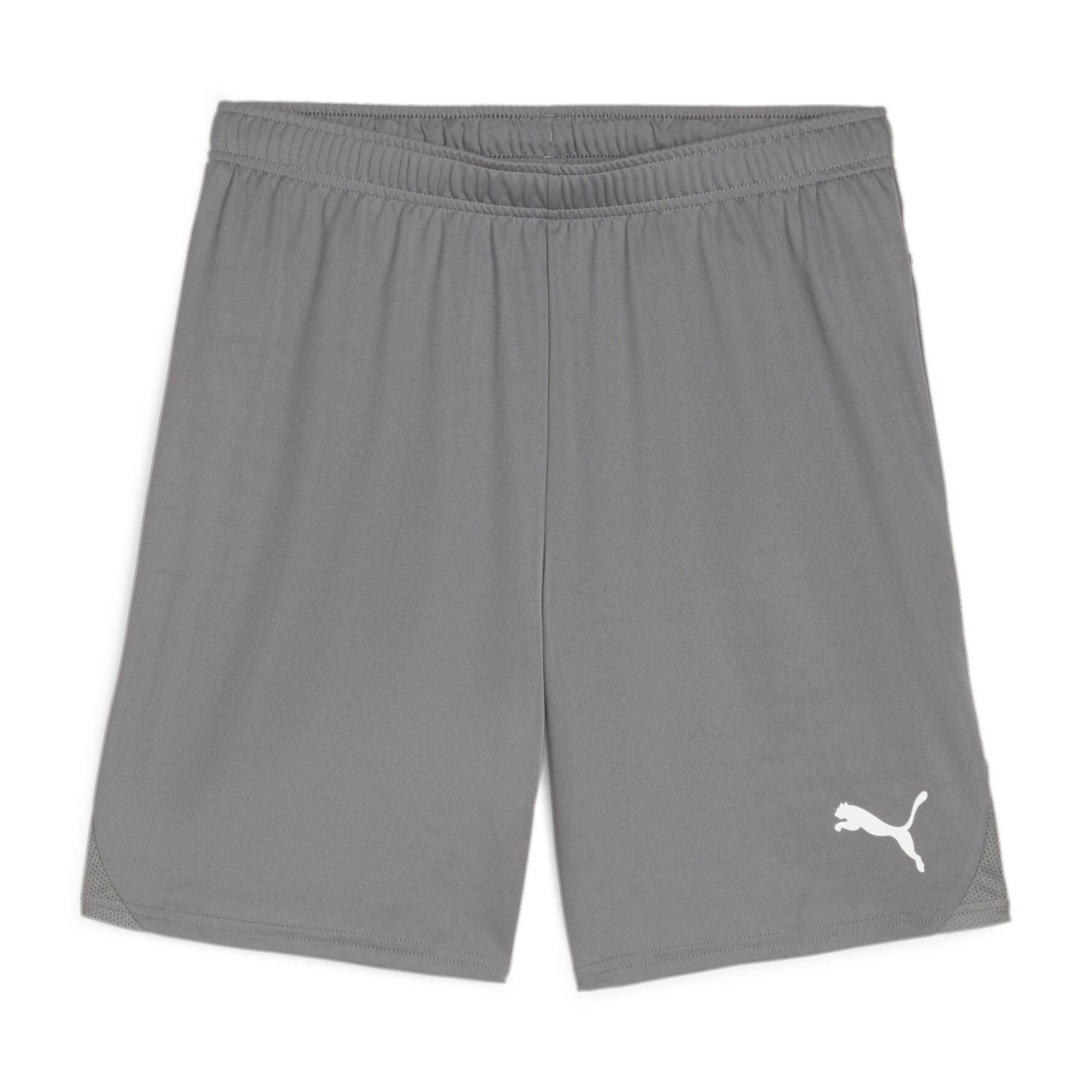 Puma Herren teamGOAL 705752 4290₽