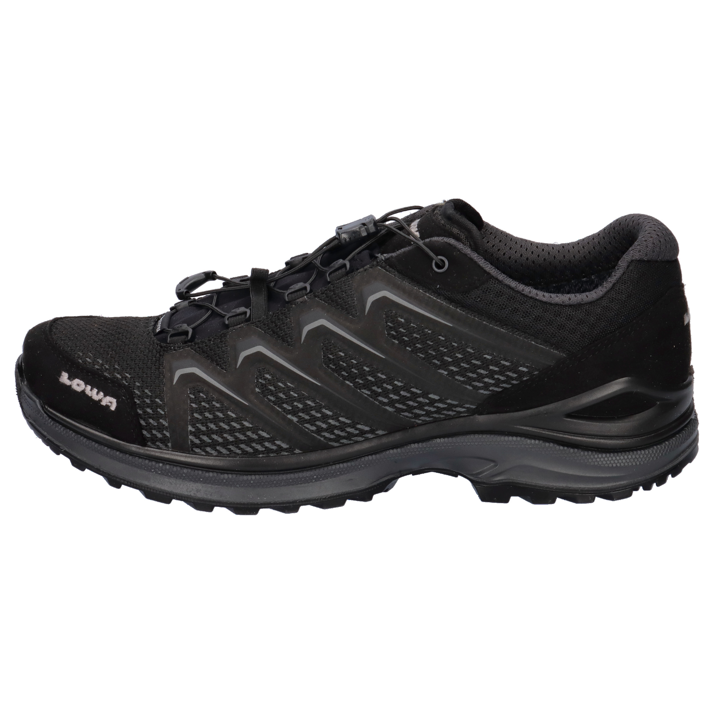 Lowa Herren Wanderschuhe Maddox GTX LO TF 310630